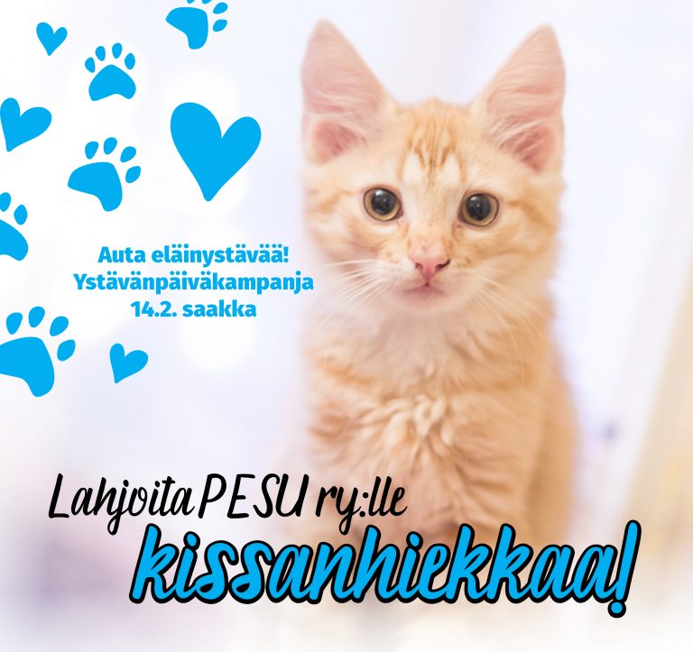 Keräsimme yli 500 kg kissanhiekkaa PESU ry:lle