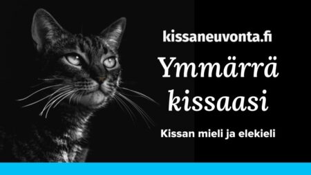 2023_kissaneuvonta_ymmarra-kissaasi