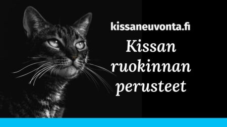 2024-kissanruokinta 2024-kissanruokinta