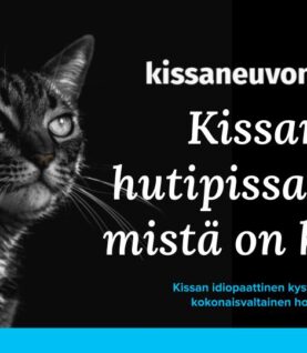 Kissan hutipissailu ja idiopaattinen kystiitti (luentotallenne 21.3.2026)