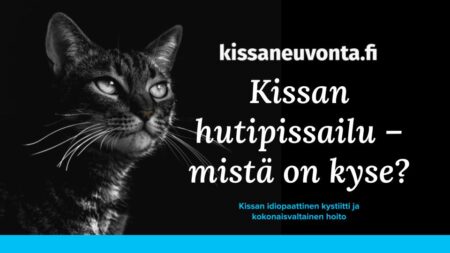 2026-idiopaattinen-kystiitti