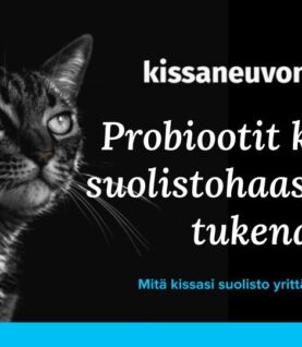 Luentotallenne: Probiootit kissojen suolistohaasteiden tukena (15.4.2026)
